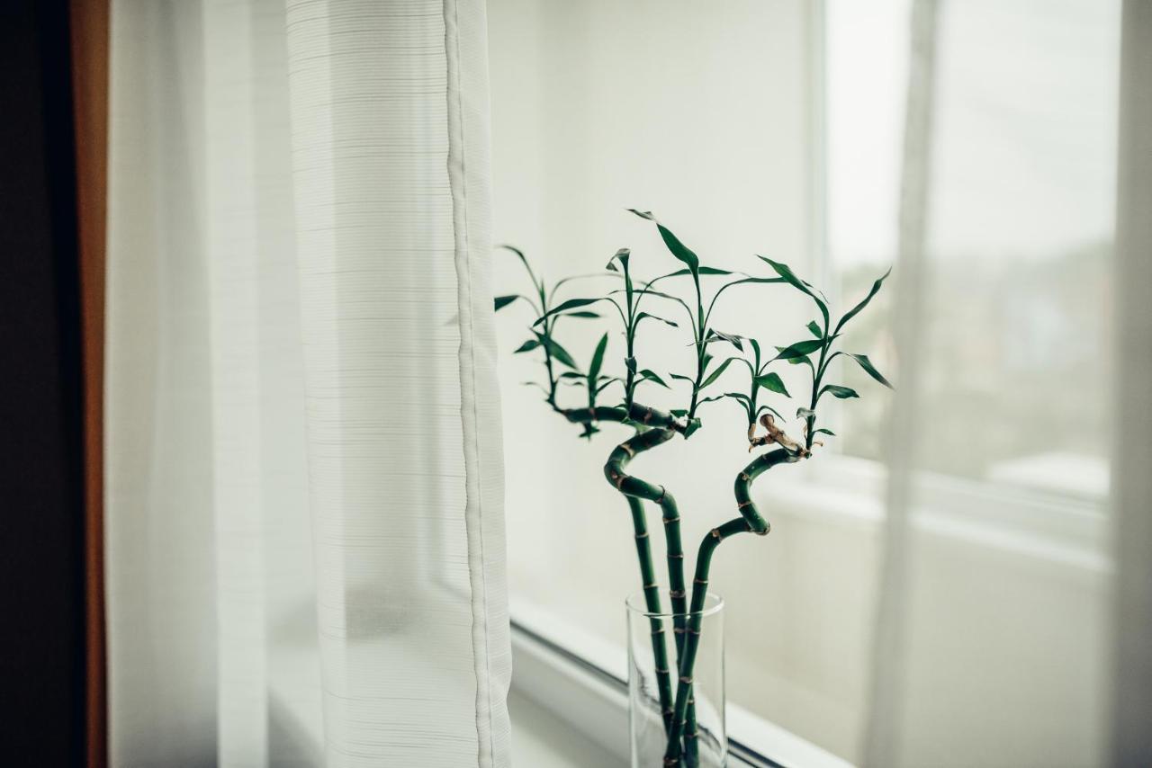Pine Apartment 비사기나스 외부 사진