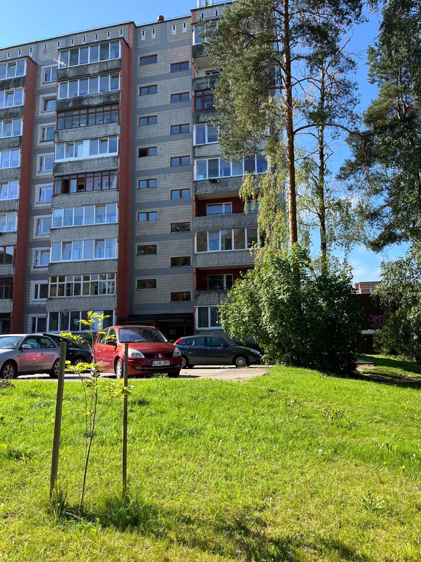 Pine Apartment 비사기나스 외부 사진