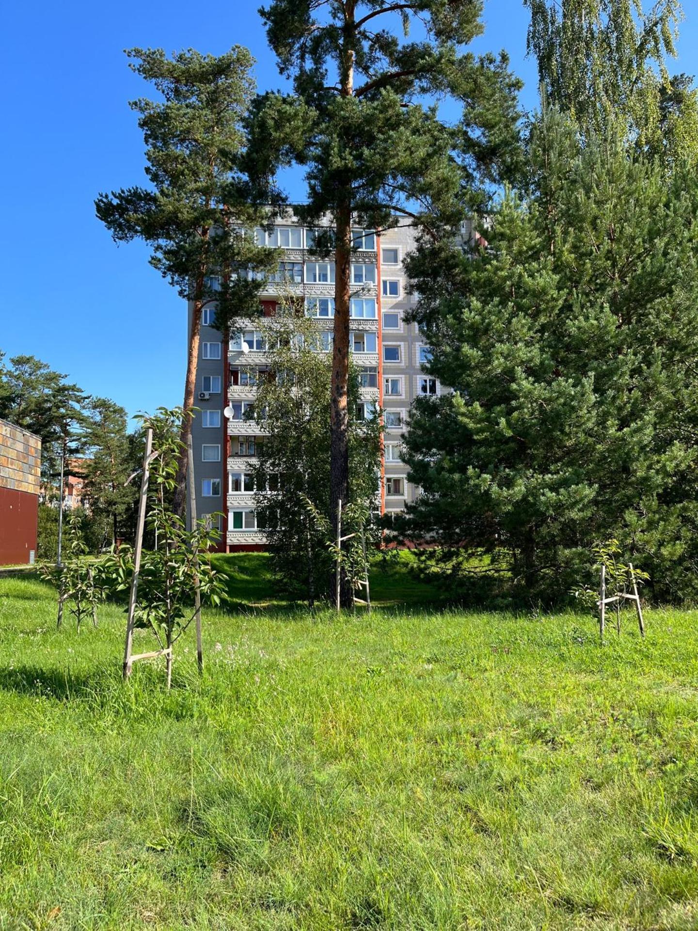 Pine Apartment 비사기나스 외부 사진